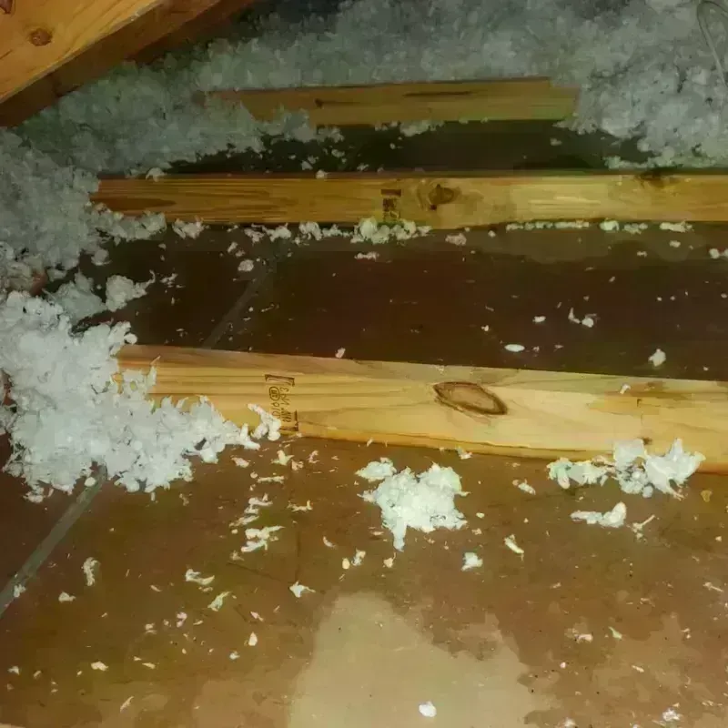 Attic Water Damage in Orland, CA