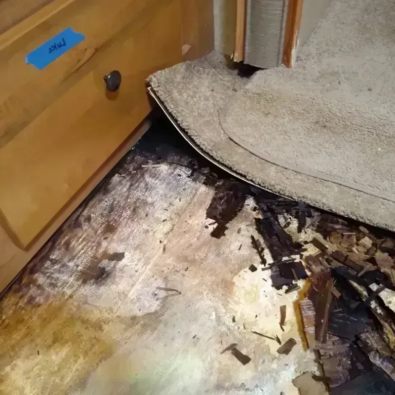 Best Wood Floor Water Damage Service in Orland, CA